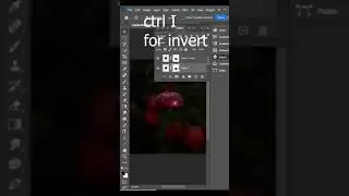 Transparent apple photo manipulation in photoshop 