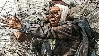 The story of the famous World War II photo 