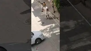 Sokak sanatçısı