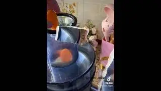 Сок для зрения