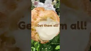 beard papas mothers day cream puff