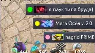 вайб дневных каток