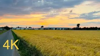 Прогулка по Фюрту. Фермерские поля в Германии. Природный заповедник 