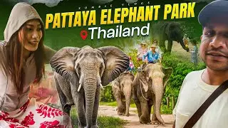 Elephant park #thailand #minivlog