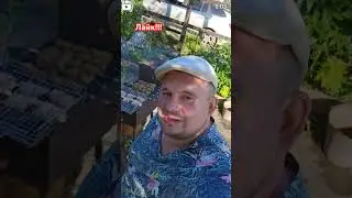 #орчанегуляют #юмор #топ #дача #огород #еда #орск #рецепт
