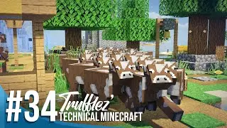The Cattle Drove - Trufflez' Technical Minecraft #34