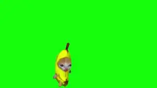 Happy Happy Happy Cat Banana cat meme Green Screen #happyhappycat|  @chromakuts