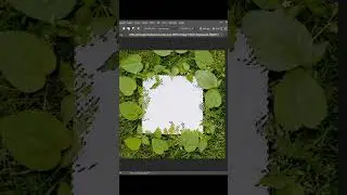 Photoshop Tips and Tricks in short tutorial 