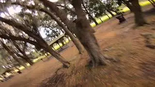 Moss Flow - Vannystyle