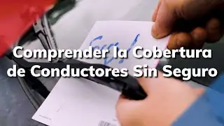 Cobertura de Conductor Sin Seguro: Por Qué la Necesita Para Una Protección Total