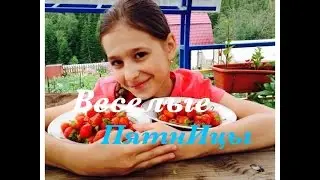Веселые ПятнИцы/ Сумашедшая учительница и жираф Дэн