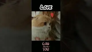 God's Love Is A Shield Around Me Prayer