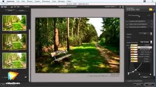 Video2Brin - Nik Software Complete Collection Workshops