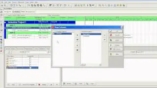 Primavera P6 Defining steps   step weight