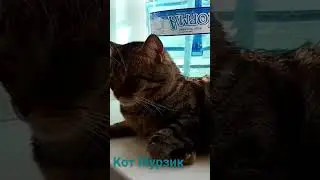 10 июня 2024 г.
