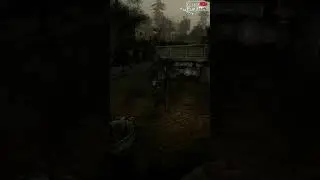 Как по другому называется тыл в армии? S.T.A.L.K.E.R. Shadow of Chernobyl, Clear Sky
