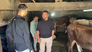 DİŞİ DÜVELER VE BAL ALDIK HEPSİ VAR 