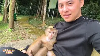 Warm hugs from dad make Monkey Kaka not feel lonely anymore