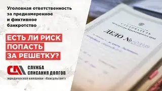 Уголовная ответственность по банкротству. Есть ли риск попасть за решетку?