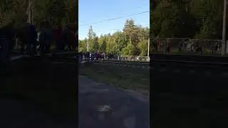 грибалка