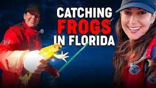 Catching Frogs with A Blowgun & Gigs in Florida| How to Catch Frogs Using a Blowgun| Lauren Sarasua