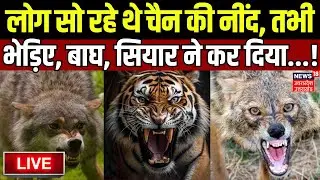 Live Bhediya Attack: लोग सो रहे थे चैन की नींद, तभी भेड़िए, बाघ, सियार ने कर दिया...!|Yogi |Breaking