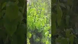 9 июня 2024 г.