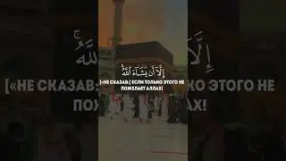 Никогда не говори!!!