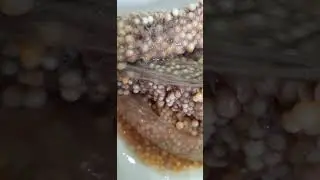 Не ожидали!