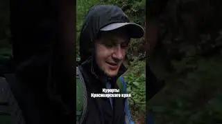 Без Комаров отдых не отдых