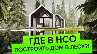 Where to Build a Pine House in Novosibirsk | Cottage Villages Review | Plotnikoff