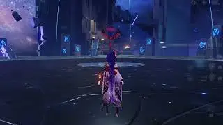 Raiden Sara 41s Continuous Top Half Abyss 2.3 | One cycle 12-3
