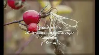 Озеро Кривель. Комплекс пойменных озер Холуново, Кривель, Черное. Гидрологический памятник природы.