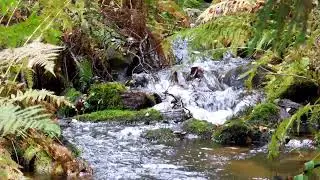 relaxing flowing water for calm down