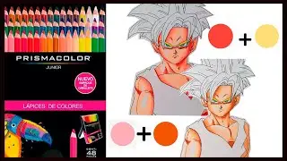 ¿Como Colorear PIEL Con Lapices PRISMACOLOR JUNIOR ?