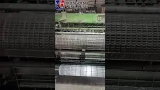 Galvanized Iron Square Stainless Steel Bird Cage Welded Wire Mesh #wiremesh#wirefactory #factory