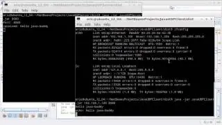 Simple example of UDP Client/Server communication