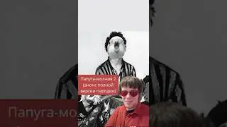 Анонс полной версии Папуга-молния — #пародия на «Дурак и молния» группы #корольишут #попугай #юмор
