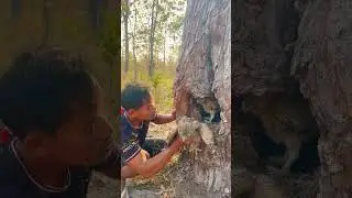 Wow Eagle Part 03#shorts #shortvideo #wildlife