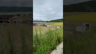 裏山より望む旧大川小学校