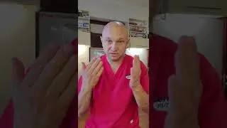 Ветеринарная клиника, как измерять температуру кошкам и собакам, миф и реальность  