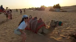 Wife's Camel Ride Experience | Dubai Safari
