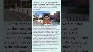 ‘It felt good to get his anger out’: Teen ‘stomped’ on woman’s head in fatal early morning assault!!