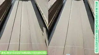 Recently produced and graded architectural White Oak veneer log