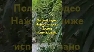 Лазаревское заповедник 