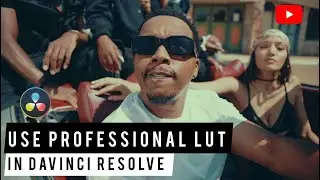 USE PROFESSIONAL LUT IN DAVICI RESOLVE