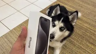 iPhone 15 Pro Max | Unboxing & First Impressions