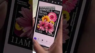 Eliminate Last-Minute Edit Struggles with Adobe Express Mobile App! 