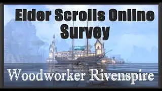 Rivenspire Woodworker Survey