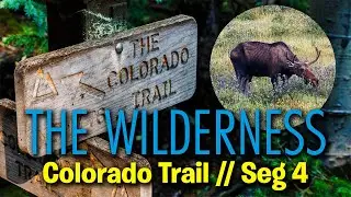 Chapter 4: The Wilderness Experience  | A Solo Segment Hike on the Colorado Trail